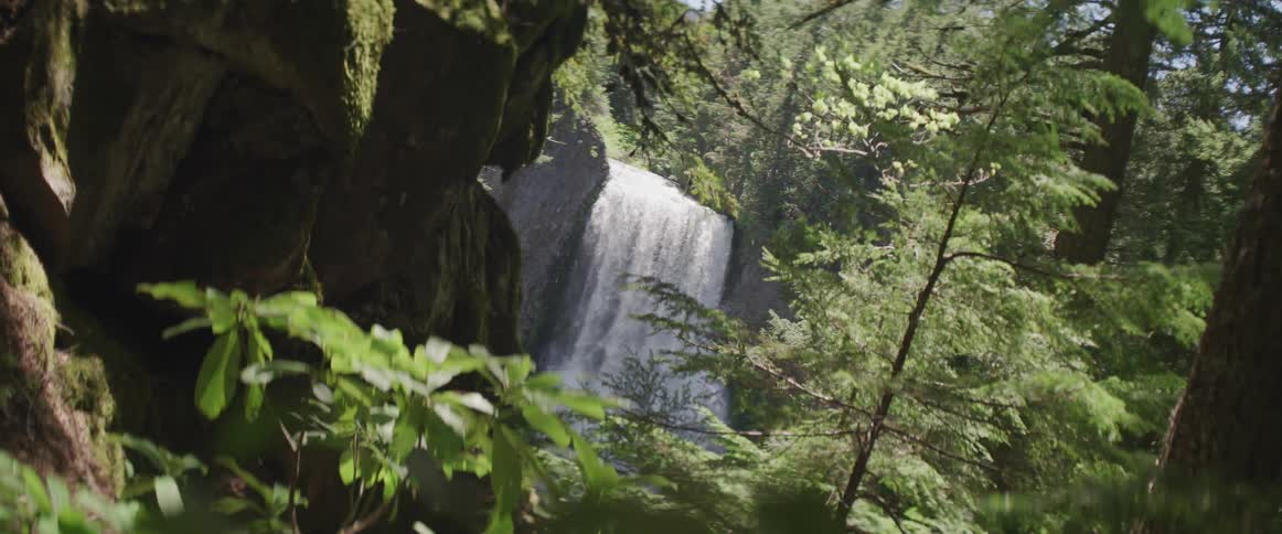 A scenery of a waterfall in the forest