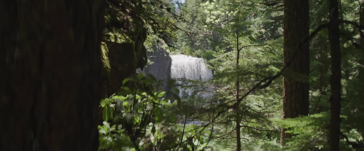 A waterfall spills into a body of water in a thick forest