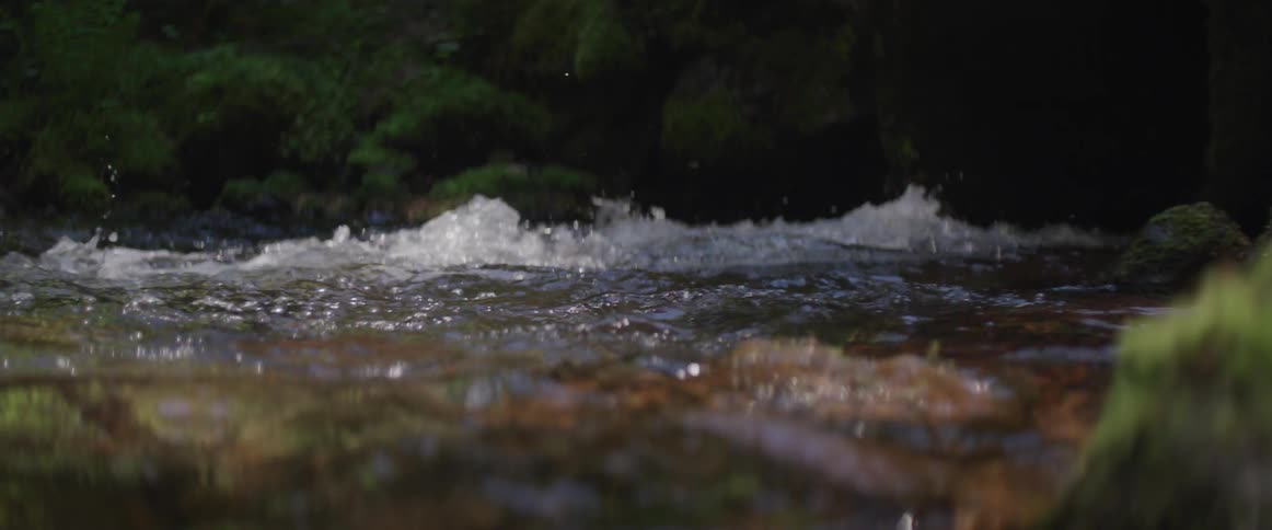 Water rushes in a creek