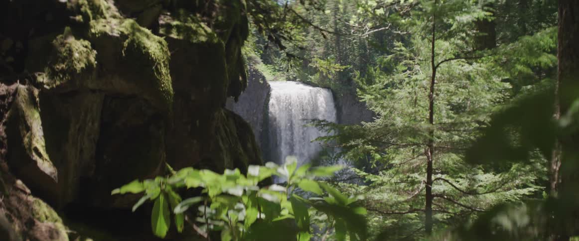 Lush green trees and foliage surround a flowing waterfall on a sunny day