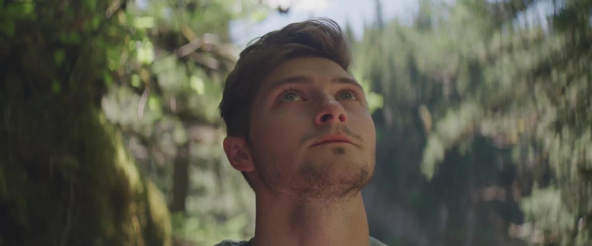 Man looks up in the sky in the forest