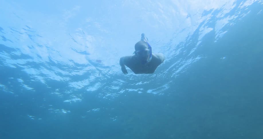 A man is diving underwater wearing a snorkel