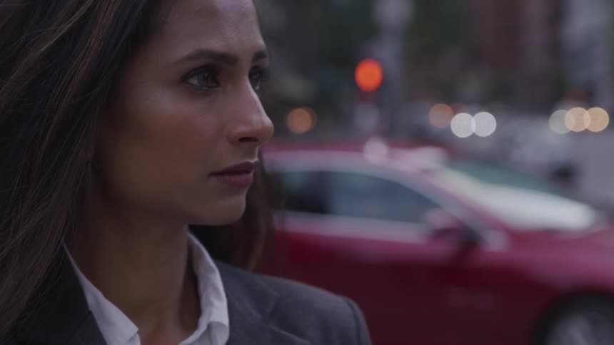 Brunette businesswoman stand by the road in the city at dusk