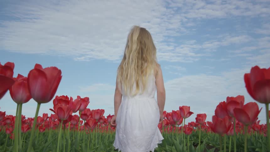 A child walking down a sea of roses