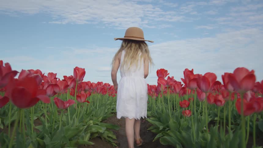 A child is walking under the clouds past the flowers