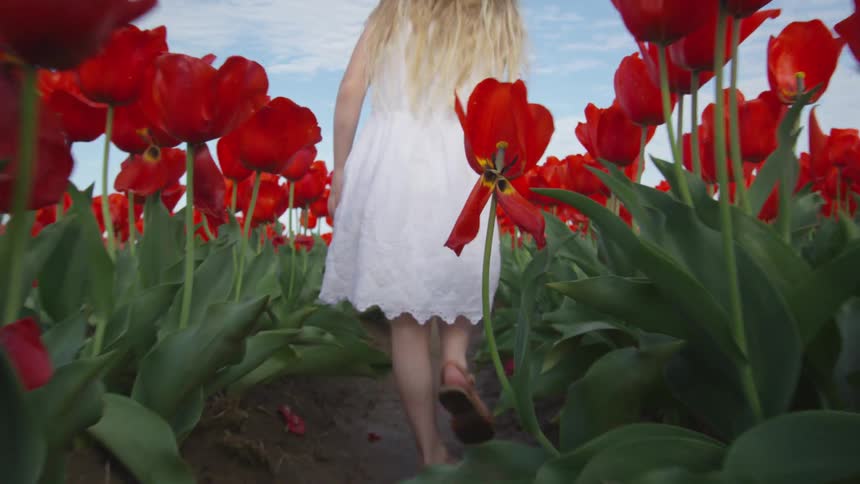 A girl with a sun hat and a white dress walking through a tulip field
