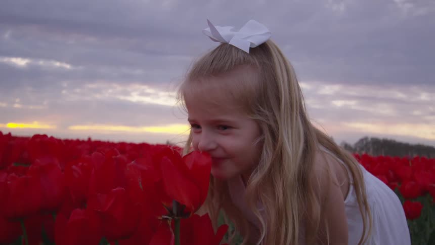 A girl bending to smell a flower in a field of blooming red flowers