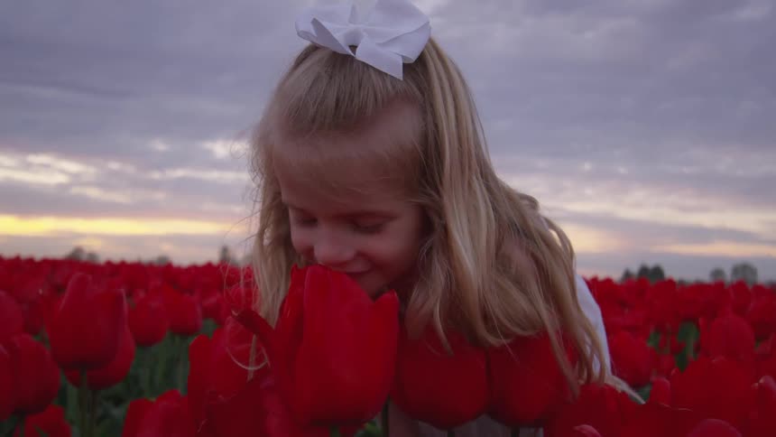A young girl with a white bow in her blonde hair smells a poppy in a field of poppies