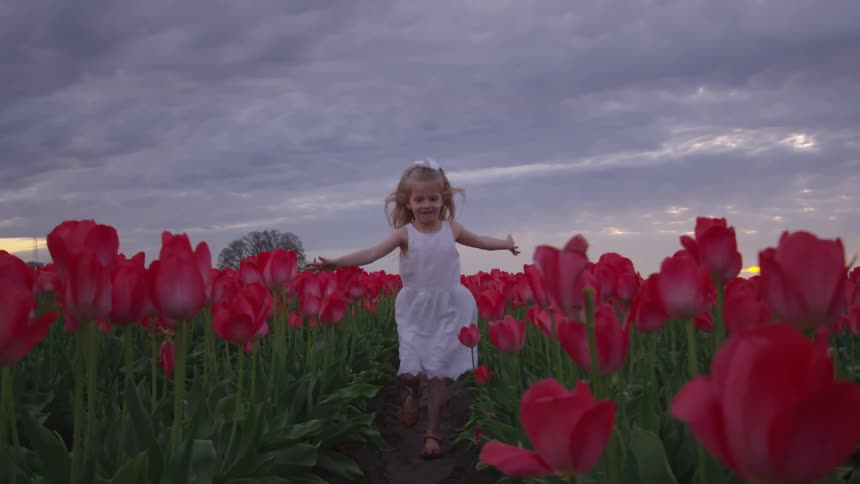 A child is running past the flowers in the field