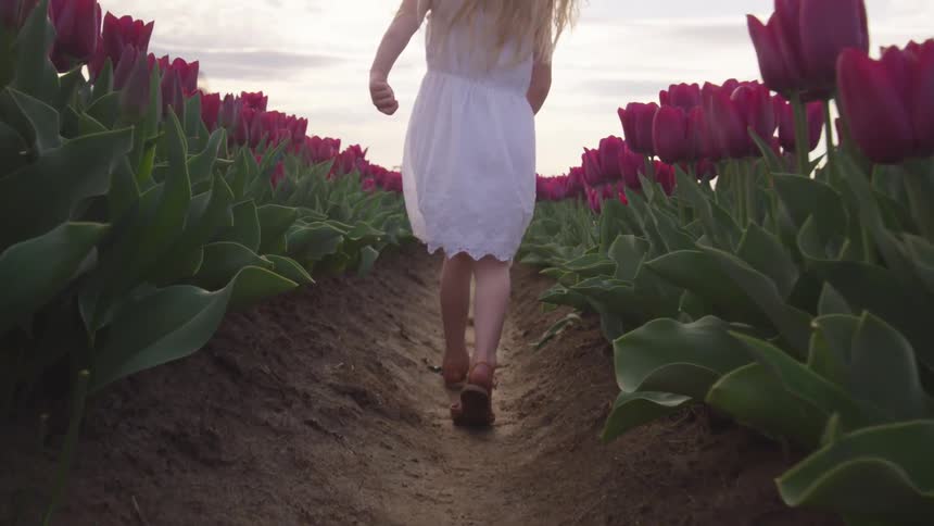 A girl in a white dress walking through a field of violet flowers