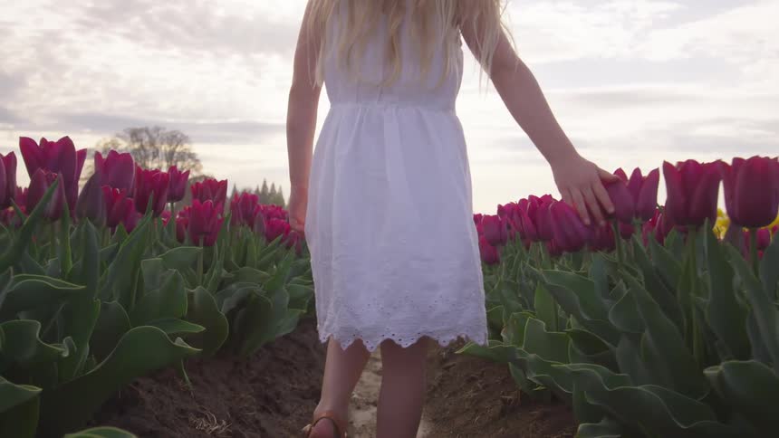A female walks through a field of flowers touching them