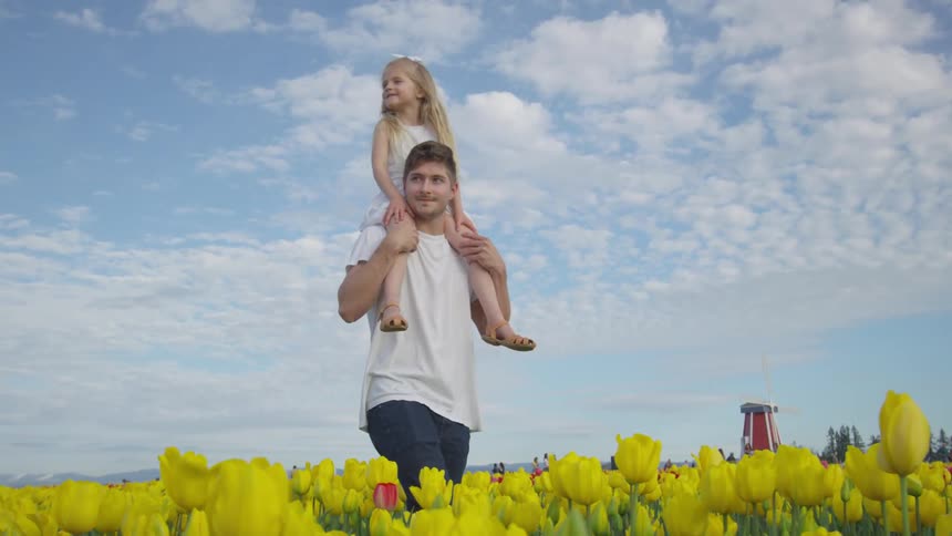 A father walks through tulips with his daughter on his shoulders