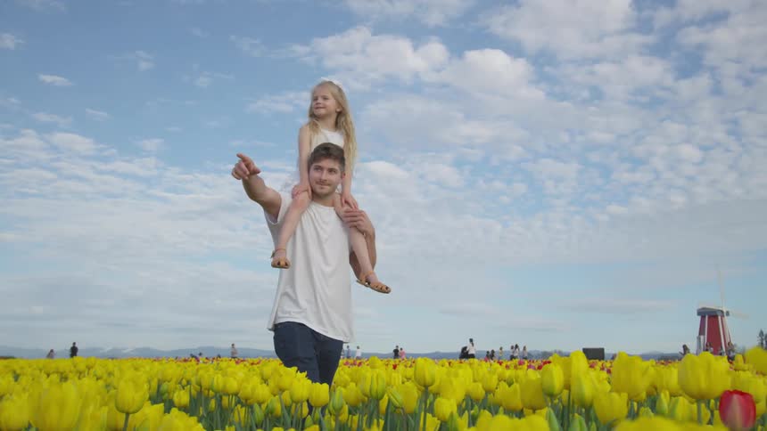 A man carrying a little girl on his shoulders through a tulip field