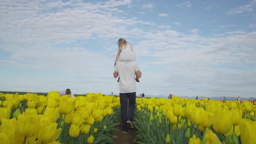 A man carries a young girl on his shoulders walking through a field of flowers