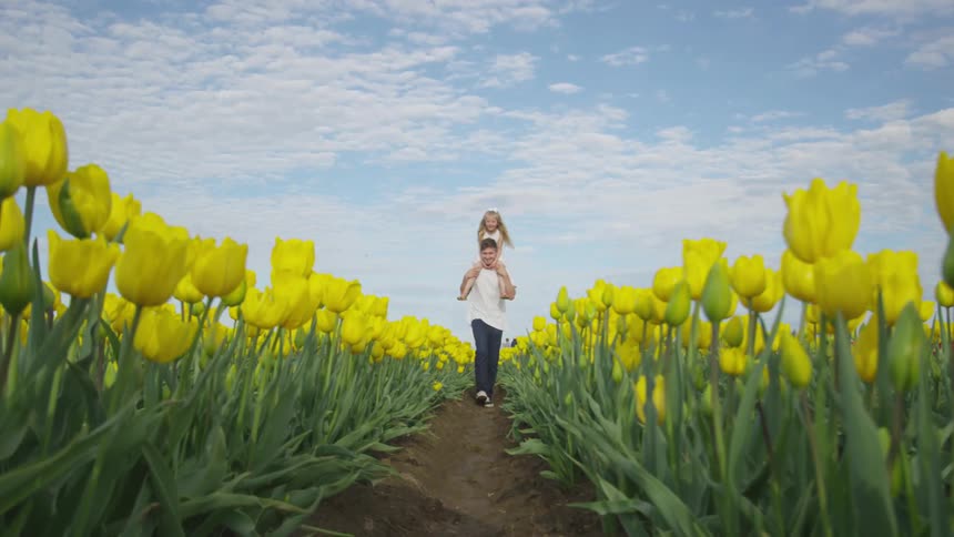 A man carries a young girl on his shoulders walking through a field of flowers