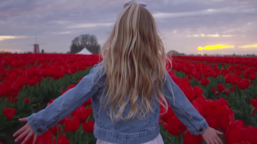 Little girl runs through a field of red tulips