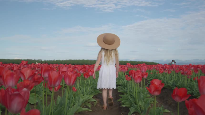 A little girl walks through a field of tulips