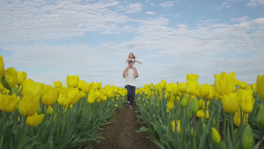 Father and daughter walking through a field of tulips in the country