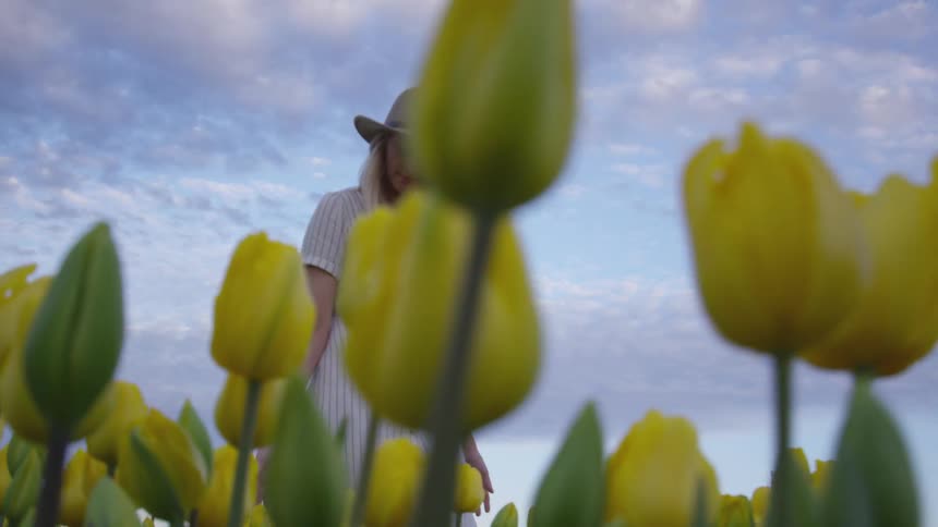 Woman walking through a field of tulips in the country