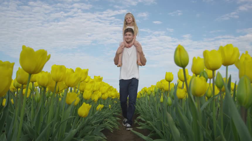 A man walking with a girl on his shoulders through a tulip field