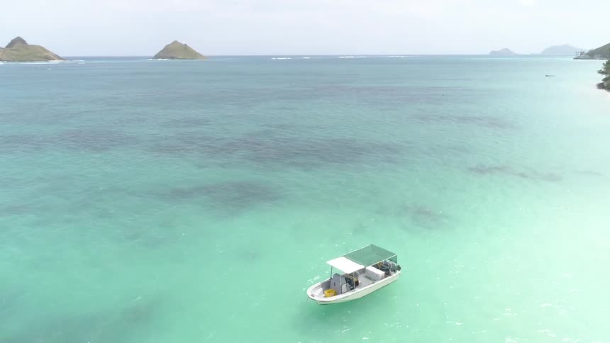 Drone shot of tropical coastline