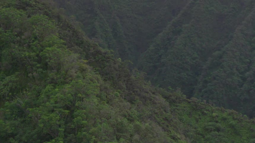 The mountains are covered with trees