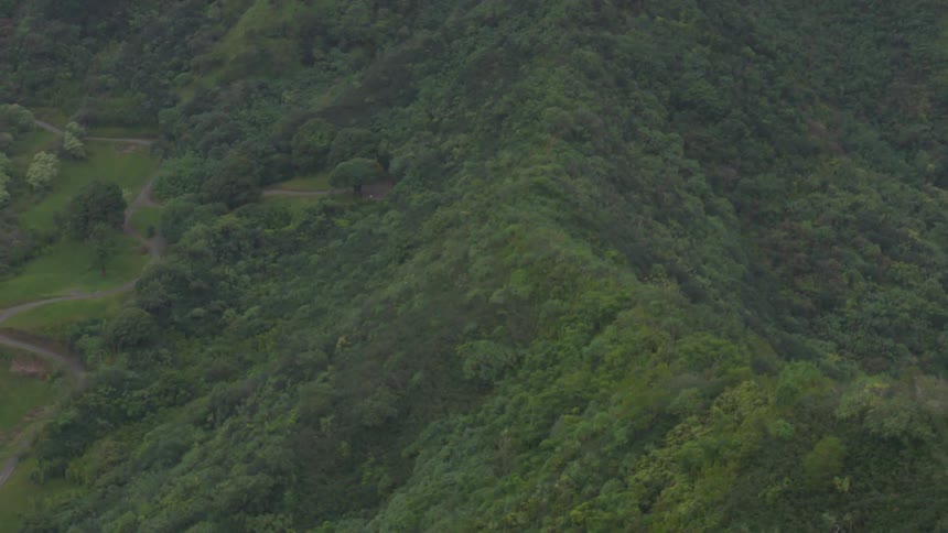 Birds eye view of tree covered hills