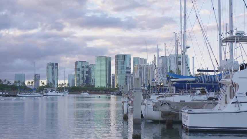Landscape view of boats in a harbour and skyscrapers in the background
