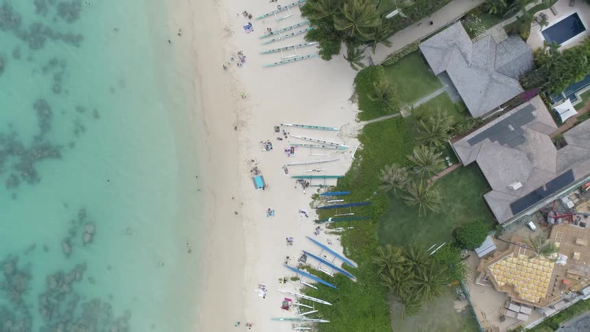 Houses on a beach near clear blue water and palm trees