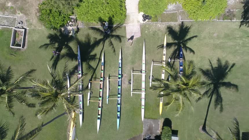 Many boats sit in the grass