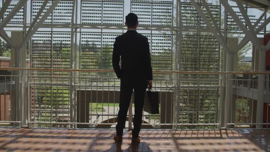 A man stands on a gated pedestrian bridge looking out to the scenery