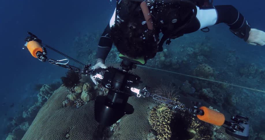 A scuba diver with photographic gear swims near some coral
