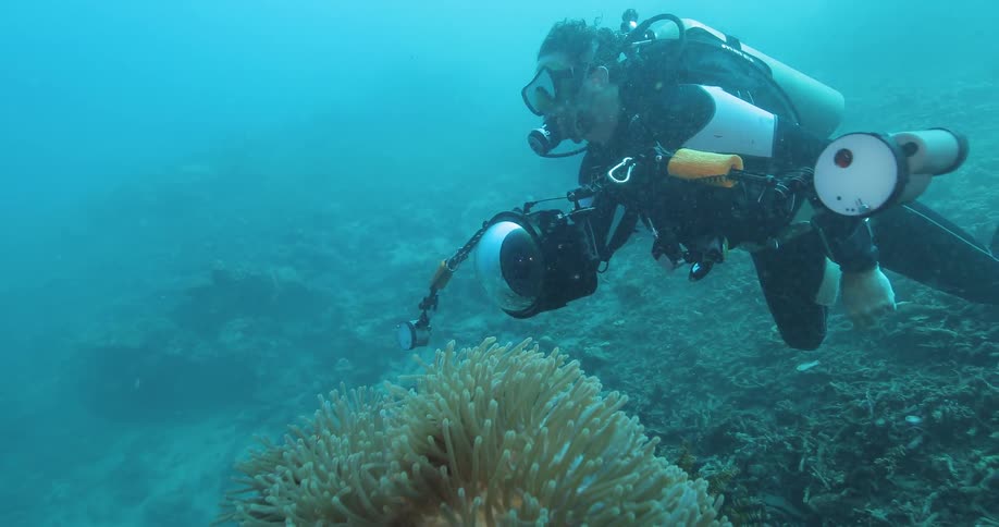Scuba diver takes pictures of coral underwater