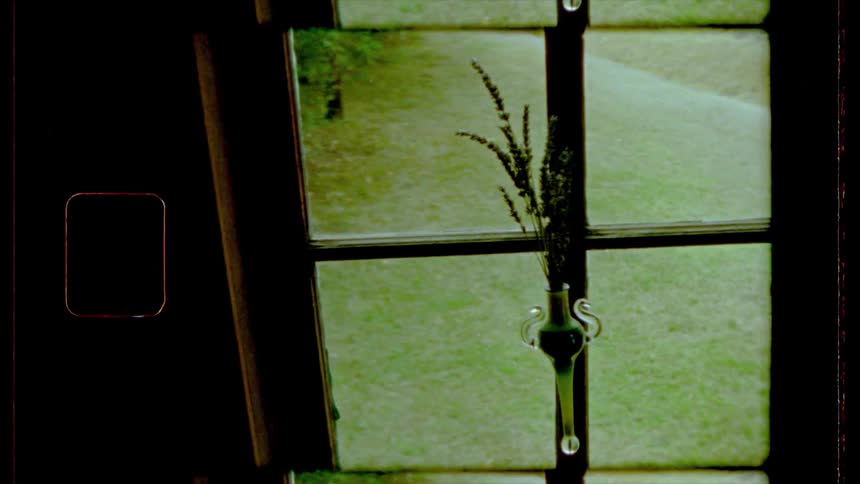 A glass bud vase with sprigs in it hangs in front of a window looking out onto the yard