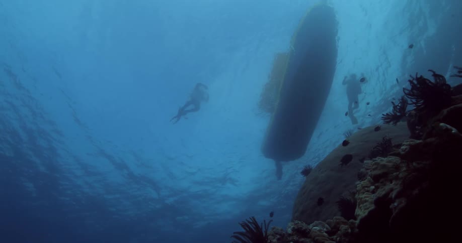 Shot from underwater of two people diving off a boat