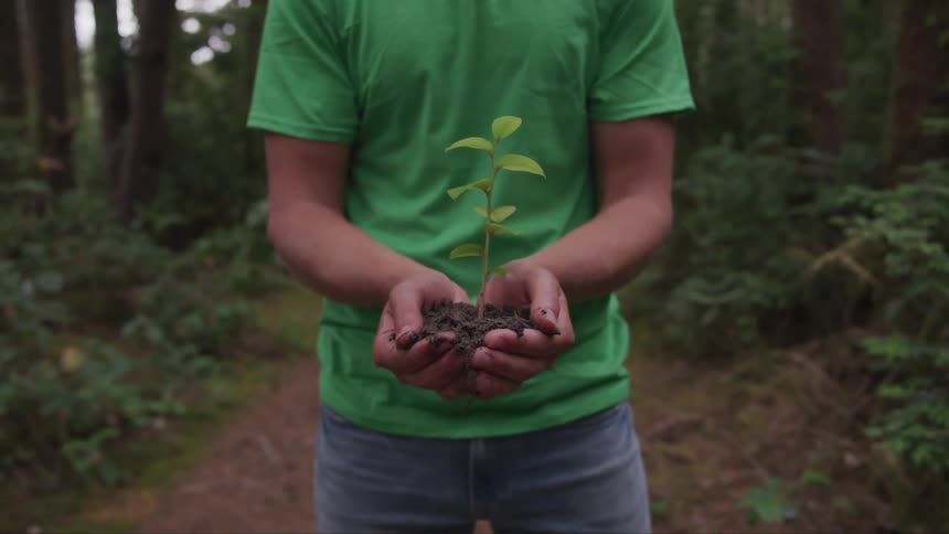 A man stands with a small plant in his hands