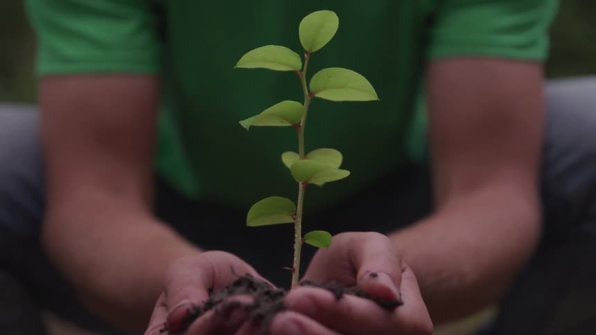 A man holds a plant with dirt in his hands