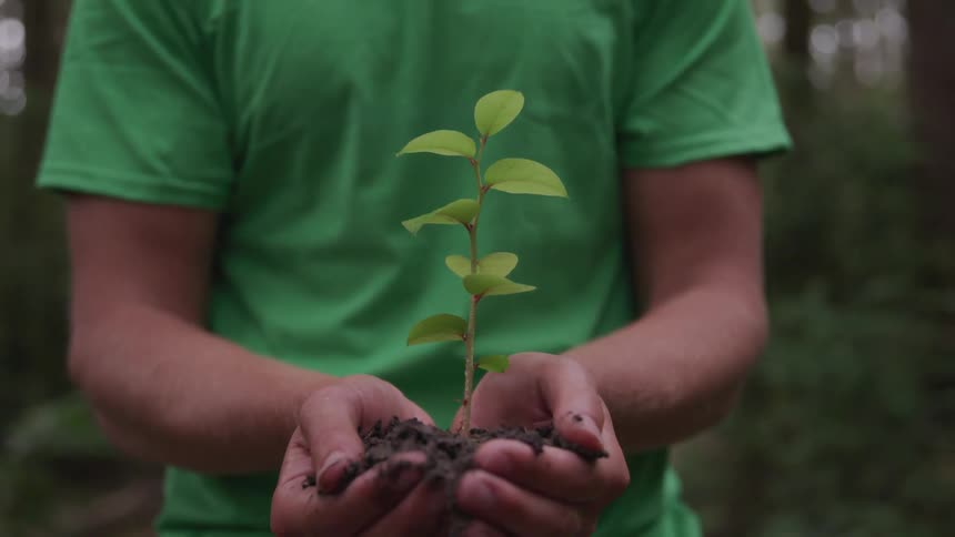 A man is holding a plant outdoors