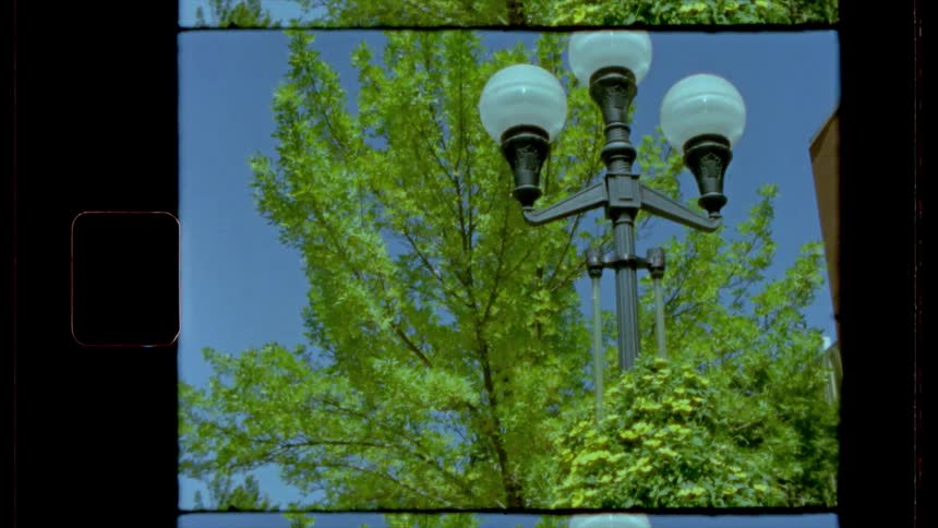 Film footage of a lamp post in the trees