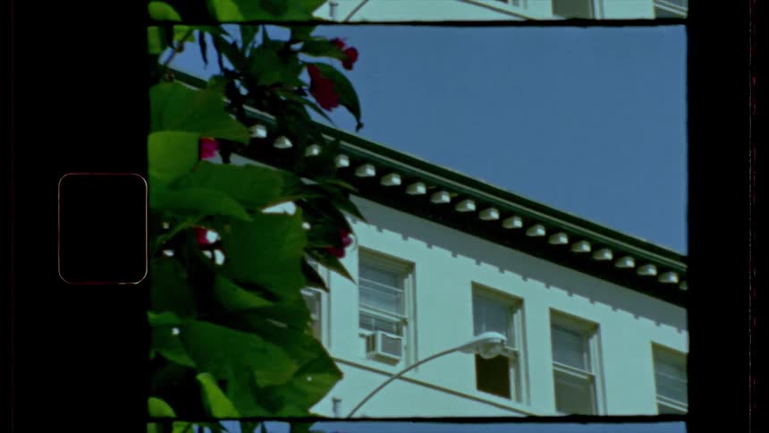 A building with sash windows and a cherry bush outside is viewed on old film
