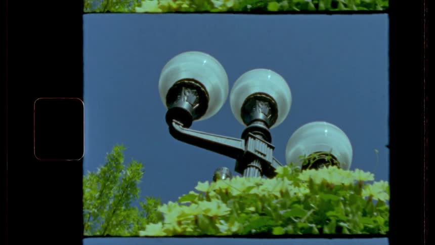 A street light and shrub filmed on a vintage camera
