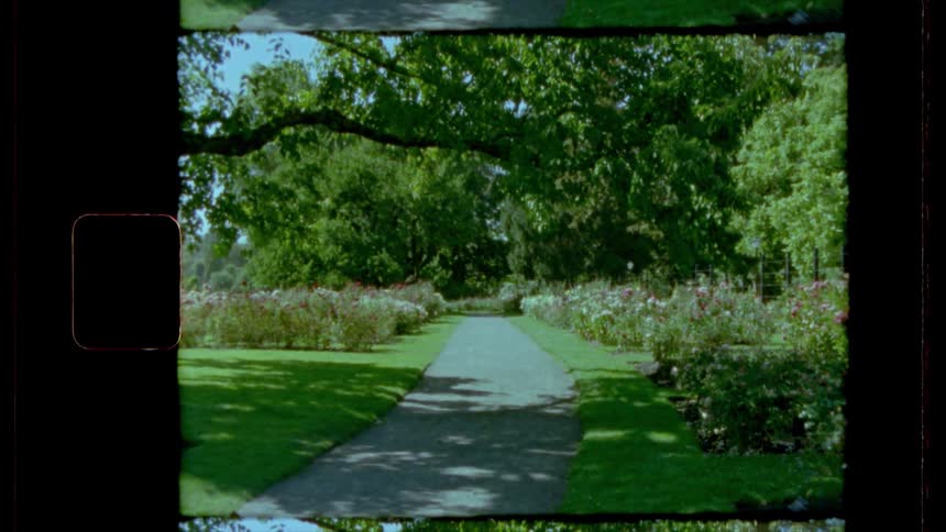 A path leading between a garden surrounded by grass and trees
