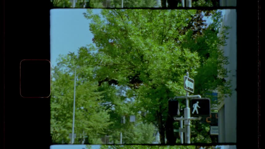 A pedestrian walk signal on a tree lined city street on a sunny day