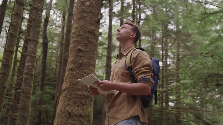 Blonde man holding a notebook looks up in the air in the woods