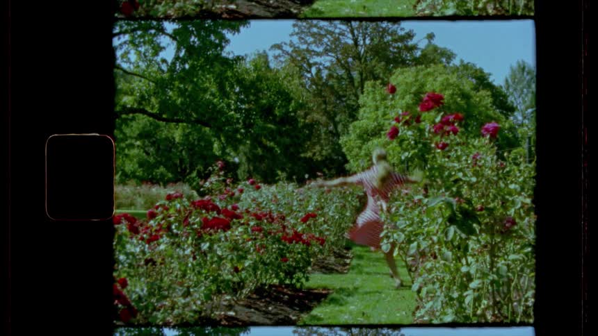 A woman in a polka dot summer dress skips around in a rose garden