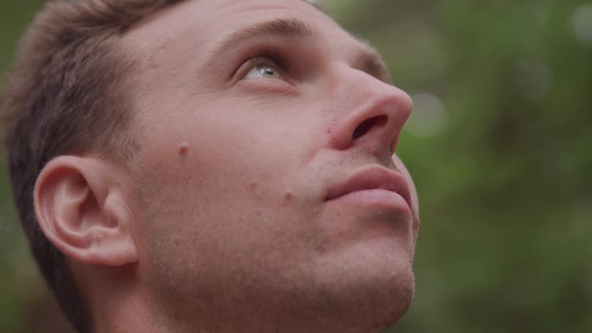 A young male stands outside beneath some trees while looking upwards