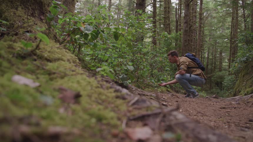 A man hiking in the woods stops to look at an object on the side of the trail