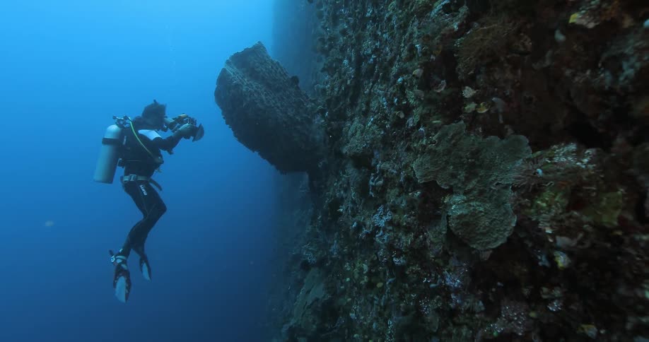 A scuba diver is taking pictures underwater