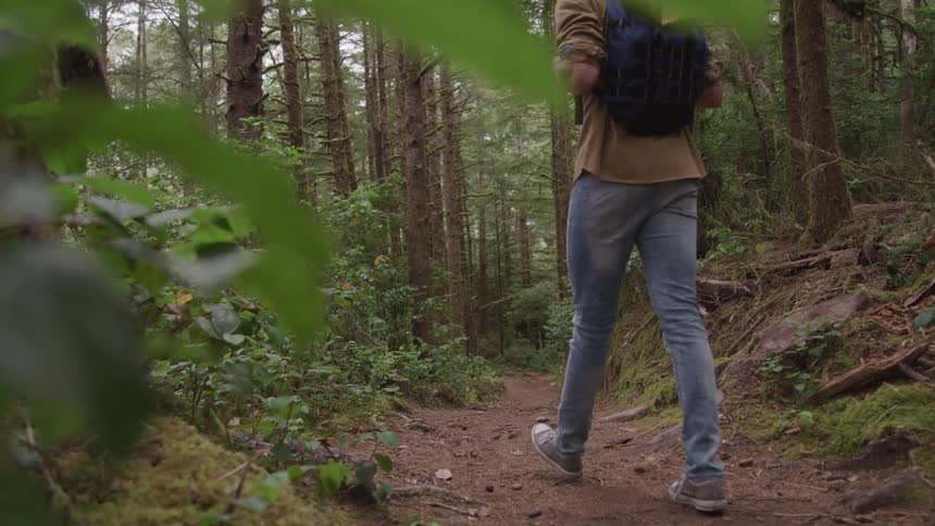 A man adventurer hiking alone in the foreset