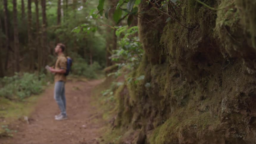 A man is standing on the trail in the forest